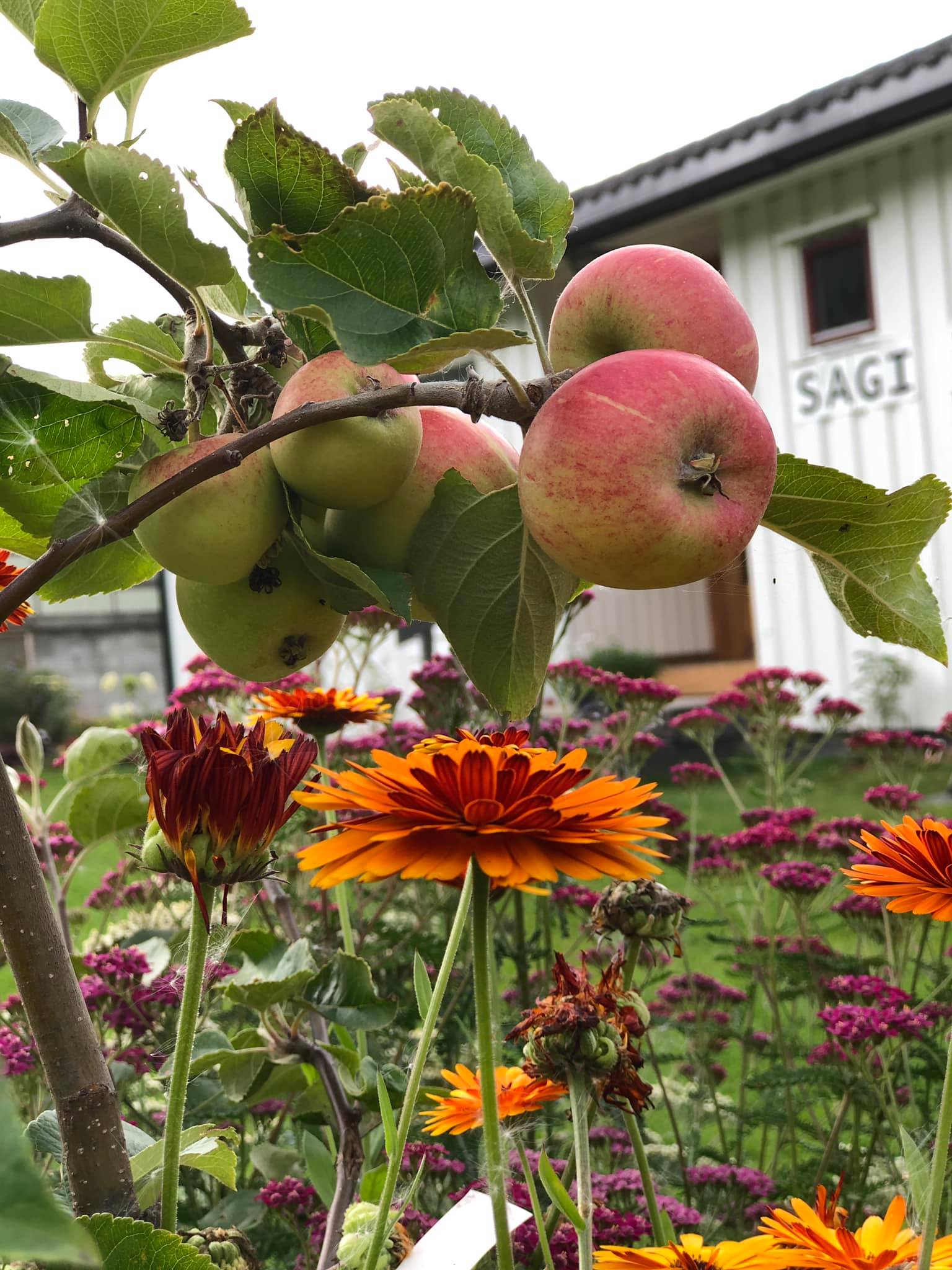 Kom innom for service p� bil, nydeleg mat eller berre for � sl� av ein prat