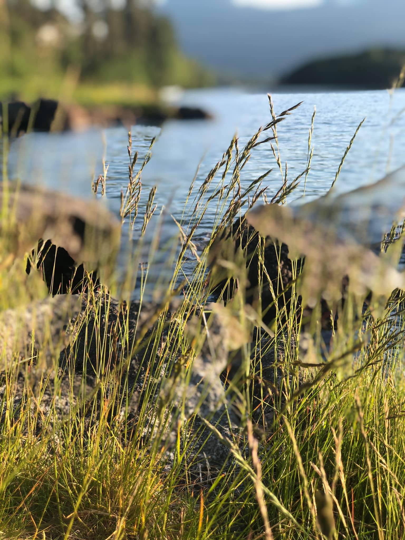 Kom innom for service p� bil, nydeleg mat eller berre for � sl� av ein prat